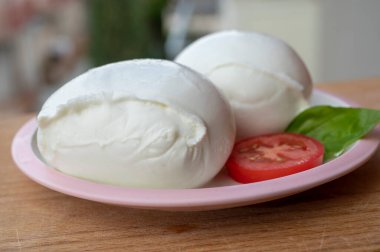 Beyaz İtalyan yumuşak peyniri Mozzarella di Bufala Campana topu taze yeşil fesleğen ve kırmızı domates ile servis edilir.