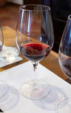 Eski şehir Montepulciano, Tuscany, İtalya 'da şarap tatma turu