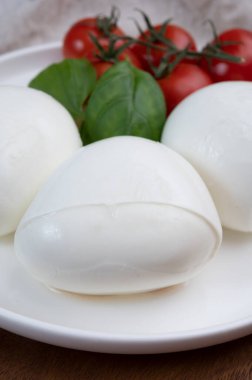 Taze İtalyan peyniri mozzarella di buffalo şok tabancası.