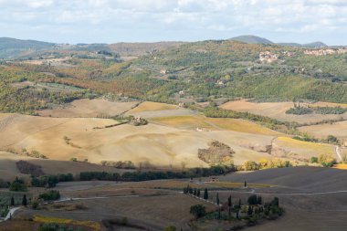 İtalya 'da Montepulciano, Toskana yakınlarındaki tepe ve üzüm bağlarının manzarası
