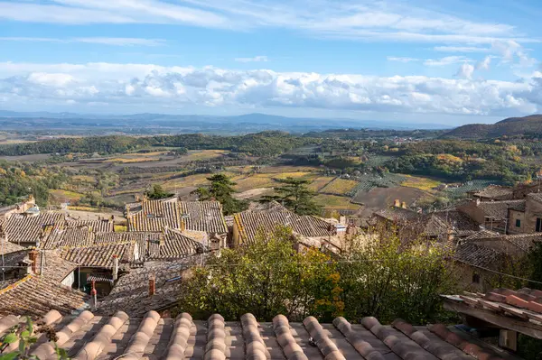 Widok Stare Dachy Wzgórza Winnice Starego Miasta Montepulciano Toskania Jesień — Zdjęcie stockowe