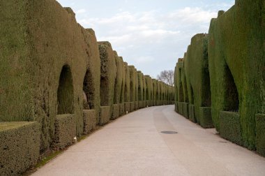 Kesilmiş thuja kozalaklı ağaçlardan yapılmış kemerlerle Akdeniz bahçe tasarımı