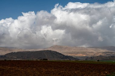 Zafarraya kasabası yakınlarındaki tarım vadisinde panoramik manzara sebze, yeşil marul salatası, lahana, enginar, Endülüs, İspanya