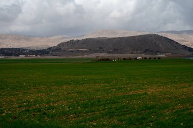 Zafarraya kasabası yakınlarındaki tarım vadisinde panoramik manzara sebze, yeşil marul salatası, lahana, enginar, Endülüs, İspanya