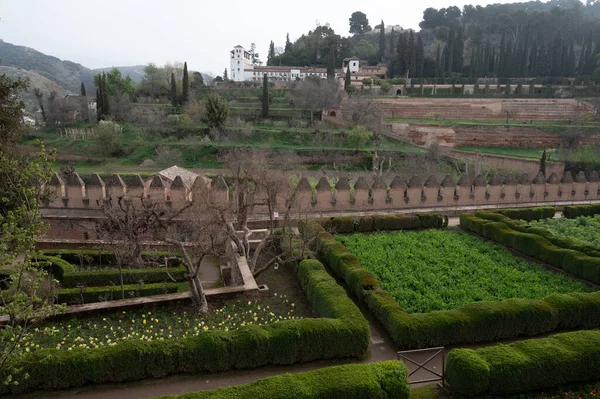 Uitzicht Groentetuinen Met Groene Tuinbonen Planten Heuvel Middeleeuwse Vesting Alhambra — Stockfoto