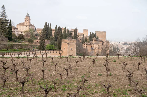 Vista Viñedos Colina Fortaleza Medieval Alhambra Granada Andalucía España Primavera — Foto de Stock