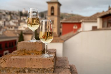 İspanya 'nın güneyindeki Endülüs şehrinin çatıları ve evleri manzaralı tatlı ve kuru şarap tatmak.