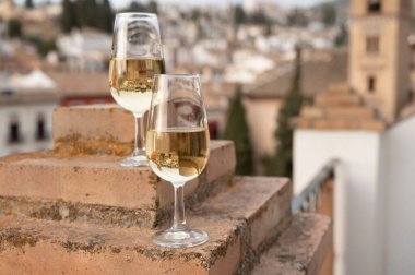 İspanya 'nın güneyindeki Endülüs şehrinin çatıları ve evleri manzaralı tatlı ve kuru şarap tatmak.
