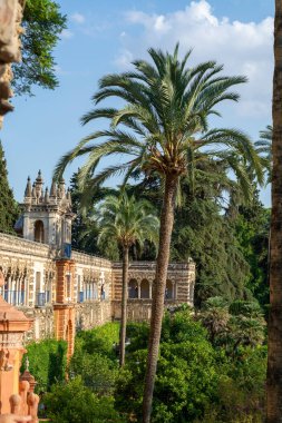 Mudejar tarzında saray yeşili bahçeler. Eski tarihi Endülüs kasabası Seville, İspanya. Unesco sitesi.