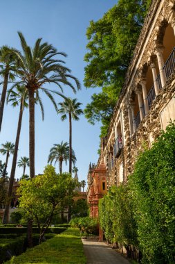 Mudejar tarzında saray yeşili bahçeler. Eski tarihi Endülüs kasabası Seville, İspanya. Unesco sitesi.