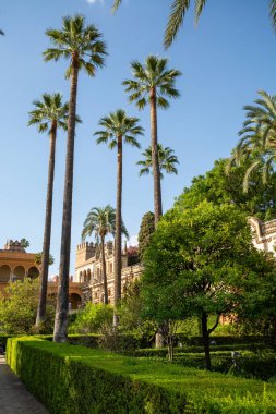 Mudejar tarzında saray yeşili bahçeler. Eski tarihi Endülüs kasabası Seville, İspanya. Unesco sitesi.