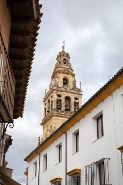 Yazın Cordoba, Endülüs, İspanya 'daki eski camide ortaçağ kulesi ve bahçesi.