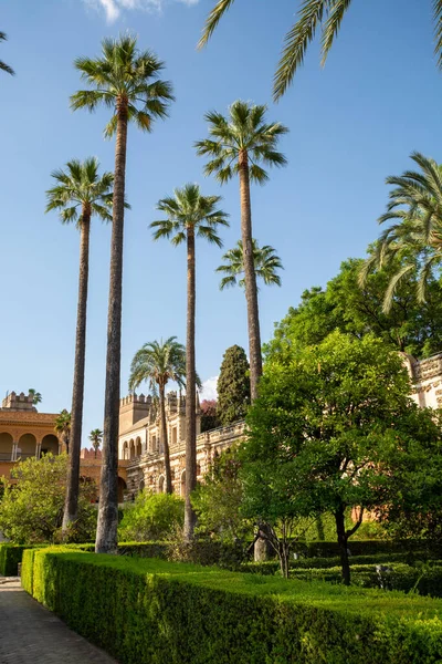 Mudejar tarzında saray yeşili bahçeler. Eski tarihi Endülüs kasabası Seville, İspanya. Unesco sitesi.