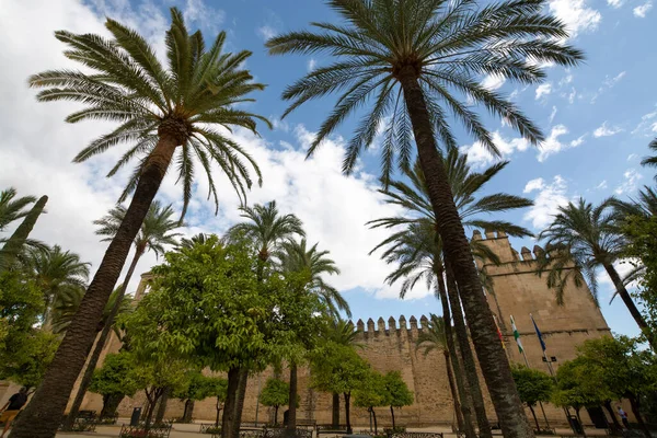 Paseando Por Casco Antiguo Córdoba Los Páramos Andalucía España — Foto de Stock