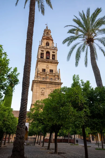 Torre Medieval Jardín Antigua Mezquita Córdoba Andalucía España Verano — Foto de Stock