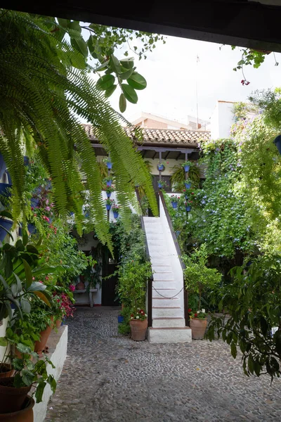 Vista Del Casco Antiguo Córdoba Barrio San Basilio Con Casas —  Fotos de Stock