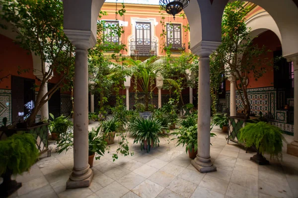 Estilo Andaluz Patio Con Plantas Arcos Verdes Casco Antiguo Sevilla —  Fotos de Stock