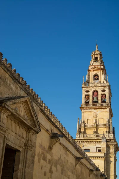 Torre Medieval Jardín Antigua Mezquita Córdoba Andalucía España Verano — Foto de Stock