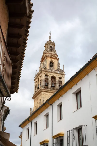 Yazın Cordoba, Endülüs, İspanya 'daki eski camide ortaçağ kulesi ve bahçesi.