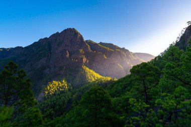 Güneşli bir günde, Cumbrecita, La Palma, Kanarya Adaları, İspanya yakınlarındaki yeşil çam ormanları, vadiler ve kayalık dağlarla Caldera de Taburiente manzarası