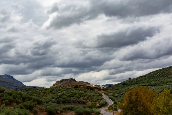 Sarı tepeli Endülüs manzarası ve yeşil zeytin ağaçları, İspanya