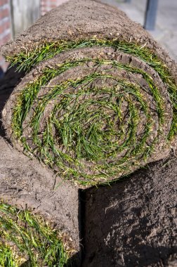 Bahçe yenileme çalışmaları devam ediyor. Baharda ekime hazır yeni yeşil santraller.