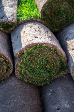 Bahçe yenileme çalışmaları devam ediyor. Baharda ekime hazır yeni yeşil santraller.