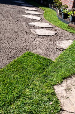 Bahçede doğal yeşil çimenler, yeşil çimenler ve baharda bahçe yenileme işleri.