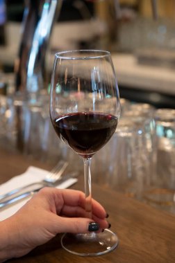 İspanyol Bogeda restoranında kuru İspanyol tempranillo kırmızı şarap tatmak.