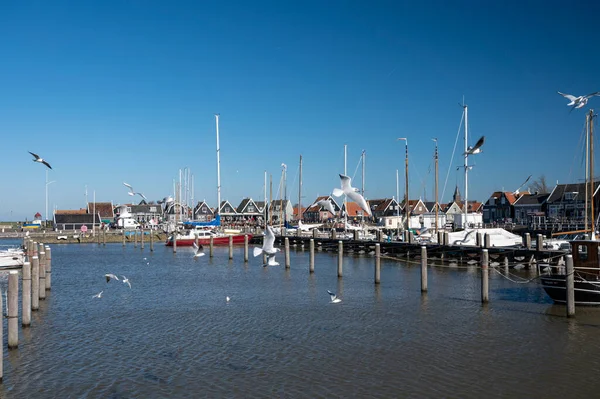 Caminhando Dia Ensolarado Primavera Pequena Cidade Holandesa Marken Com Casas — Fotografia de Stock