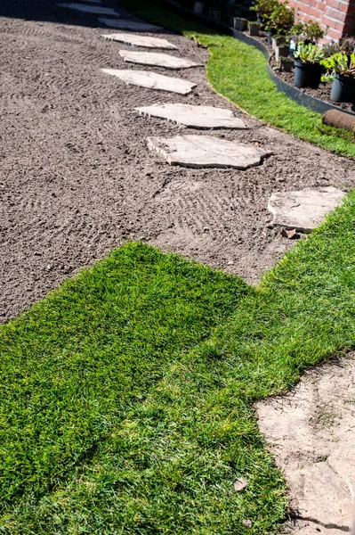 Bahçede doğal yeşil çimenler, yeşil çimenler ve baharda bahçe yenileme işleri.