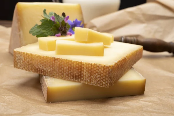 Schweizerost Samling Gruyere Ost Tillverkad Opastöriserad Komjölk Närbild — Stockfoto