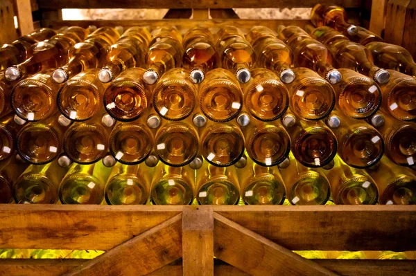 オーストリア ウィーンの地下室で伝統的な方法でスパークリング白とバラのワイン生産 — ストック写真