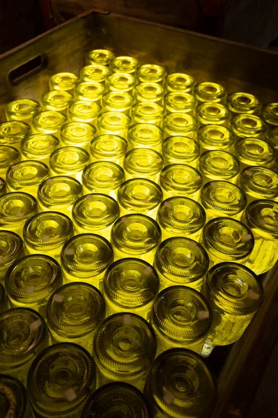 Sparkling White Rose Wine Production Traditional Method Underground Cellars Vienna — Stock Photo, Image