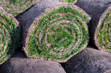 Bahçe yenileme çalışmaları devam ediyor. Baharda ekime hazır yeni yeşil santraller.