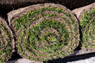 Bahçe yenileme çalışmaları devam ediyor. Baharda ekime hazır yeni yeşil santraller.