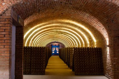 Avusturya, Viyana 'daki yeraltı mahzenlerinde geleneksel yöntemlerle beyaz ve gül şarabı üretimi