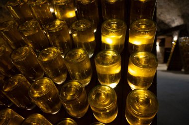 Avusturya, Viyana 'daki yeraltı mahzenlerinde geleneksel yöntemle köpüren beyaz ve gül şarabı üretimi