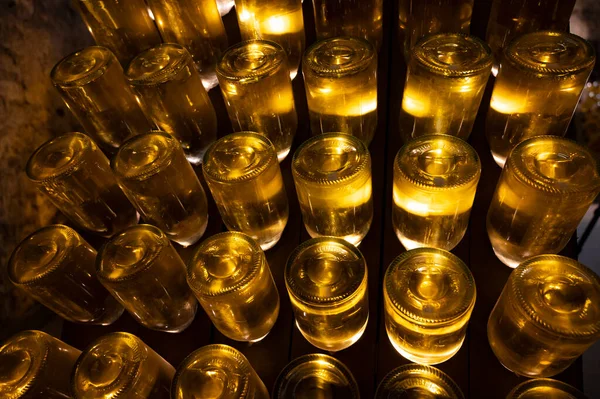 Avusturya, Viyana 'daki yeraltı mahzenlerinde geleneksel yöntemle köpüren beyaz ve gül şarabı üretimi