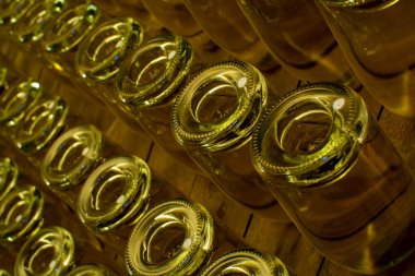 Avusturya, Viyana 'daki yeraltı mahzenlerinde geleneksel yöntemlerle beyaz ve gül şarabı üretimi