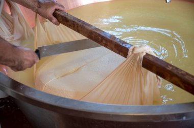 Parma, Reggio-Emilia, İtalya 'daki küçük bir peynir çiftliğinde parmesanlı parmesan peynirinin inek sütlü tekerleklerinden yapılan geleneksel bir işlem.