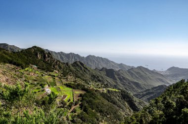 Anaga Ulusal Parkı 'nın yeşil dağlarının panoramik manzarası, Tenerife' nin kuzeyi, Kanarya Adaları, İspanya