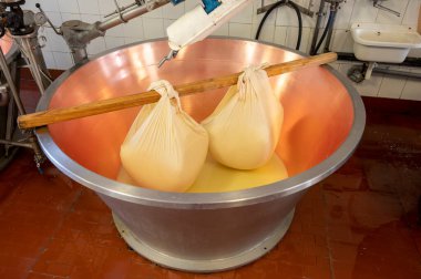 Parma, Reggio-Emilia, İtalya 'daki küçük peynir çiftliğinde parmesanlı parmesan peynirin inek sütünden yapılmış geleneksel bir işlem.