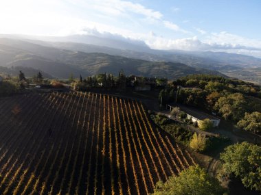 Tepelerdeki hava manzarası, şarap yakınındaki üzüm bağlarındaki renkli sonbahar kasabayı Montalcino, Toskana, hasat sonrası sıralı üzüm bitkileri, İtalya