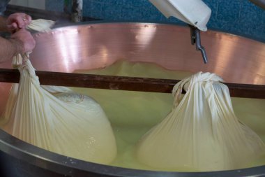 Parma, Reggio-Emilia, İtalya 'daki küçük bir peynir çiftliğinde parmesanlı parmesan peynirinin inek sütlü tekerleklerinden yapılan geleneksel bir işlem.