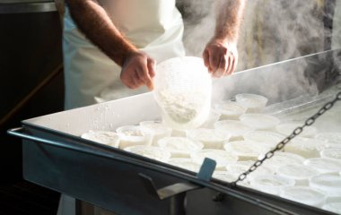 İtalya 'nın Parma kentindeki küçük peynir çiftliğinde sabahın erken saatlerinde taze, yumuşak ricotta peyniri yapma süreci.