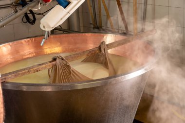 Parma, Reggio-Emilia, İtalya 'daki küçük peynir çiftliğinde parmesanlı parmesan peynirin inek sütü tekerleklerinden yapılan geleneksel işlem.
