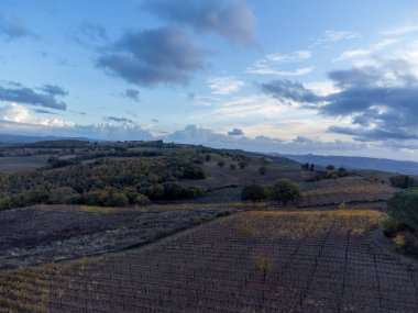 Bagno Vignoni, Tuscany, İtalya yakınlarındaki tepelere bakın. Selvi ağaçları, üzüm bağları, ormanlar ve bulutlu sonbaharda sürülen tarlalarla Toskana manzarası.