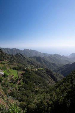Anaga Ulusal Parkı 'nın yeşil dağlarının panoramik manzarası, Tenerife' nin kuzeyi, Kanarya Adaları, İspanya