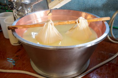 Parma, Reggio-Emilia, İtalya 'daki küçük bir peynir çiftliğinde parmesanlı parmesan peynirinin inek sütlü tekerleklerinden yapılan geleneksel bir işlem.